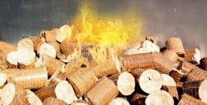 Biomasa opción atractiva sostenible